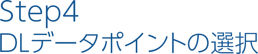 Step4　DLデータポイントの選択